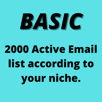 BASIC ($28)