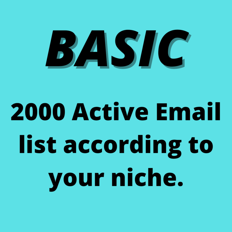 BASIC ($28)