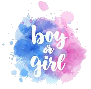 Gender Reveal