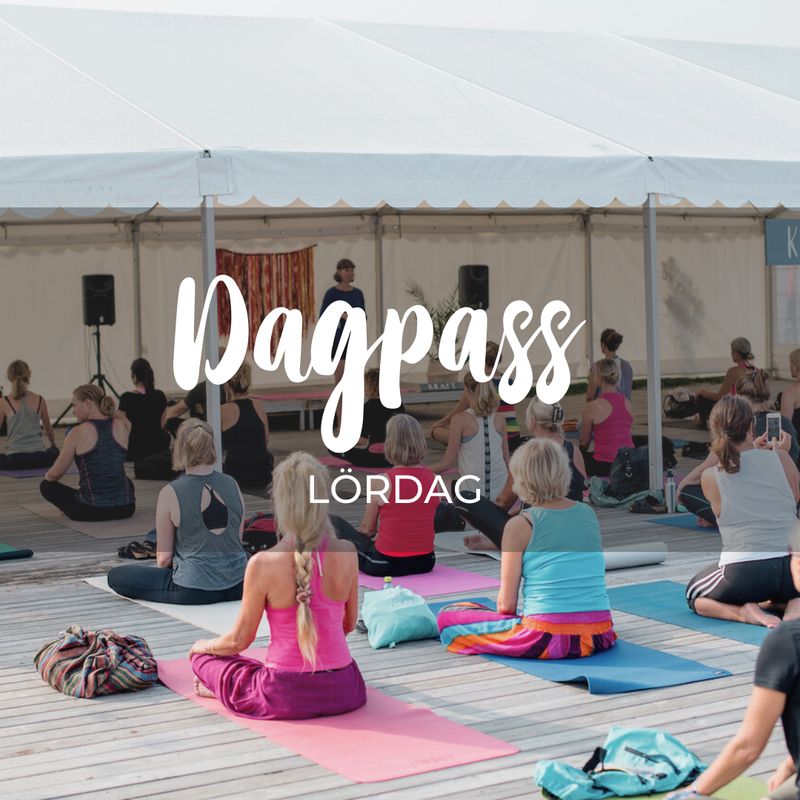 Dagpass lördag 29/8 - 2026
