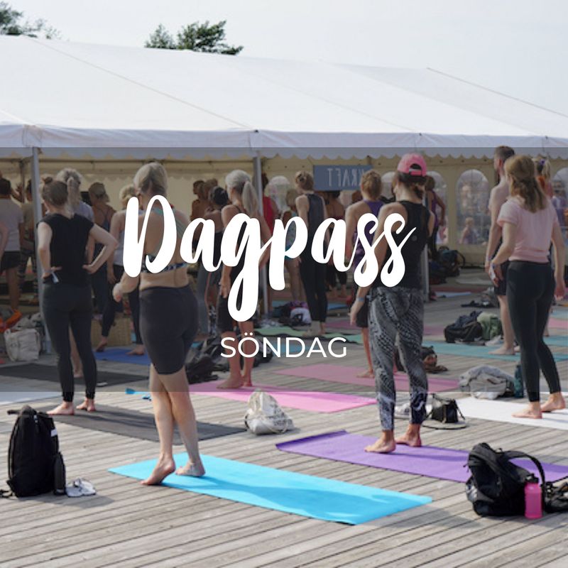 Dagpass söndag 30/8 - 2026