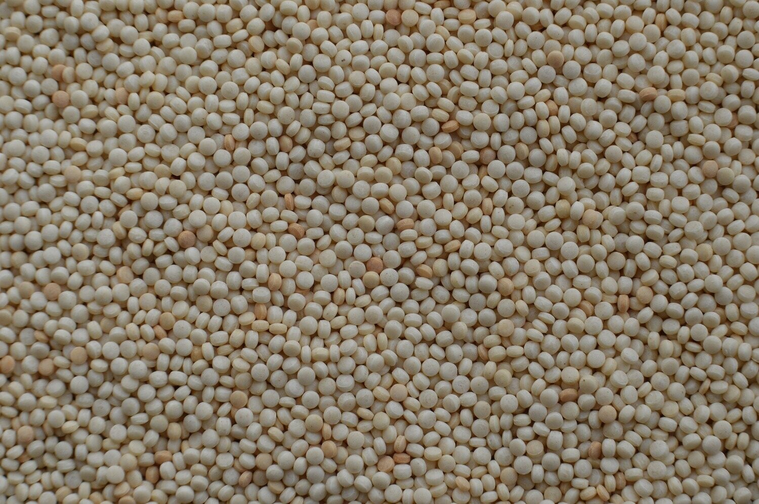 Couscous, 5 Kg (Vollkorn)