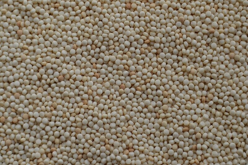 Couscous, 5 Kg (Vollkorn) Couscous, 5 Kg (Vollkorn)