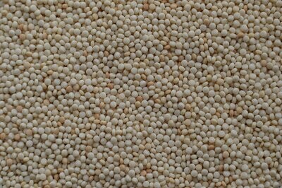 Couscous, 5 Kg (Vollkorn)