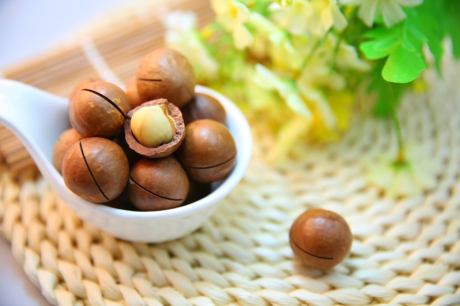 Macadamia, ohne Schale