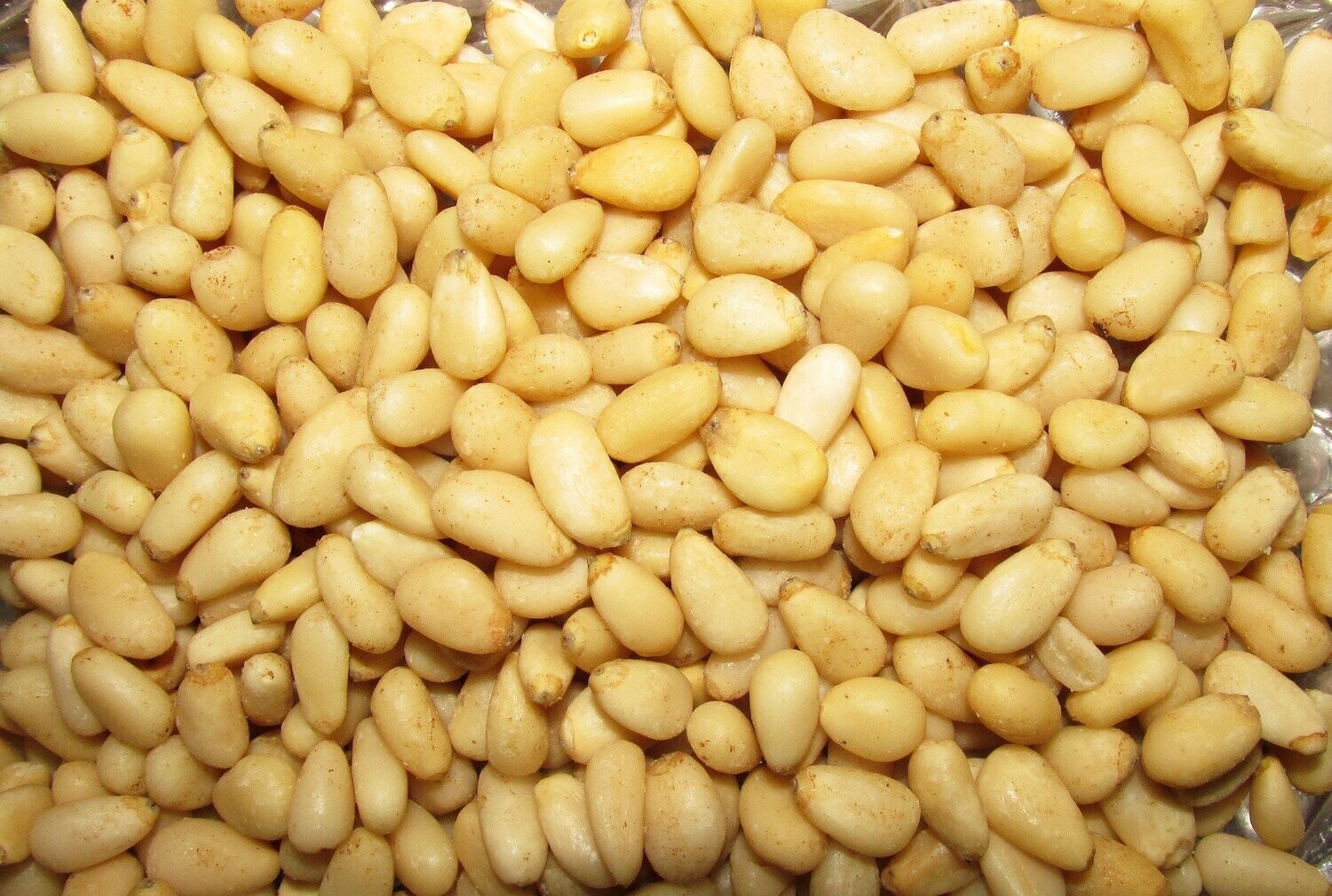 Sibirische Pinienkerne (Zedernüsse)
