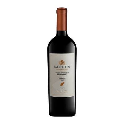 SALENTEIN SINGLE VINEYARD MALBEC GUALTALLARY x750