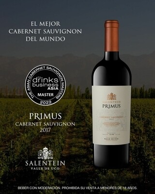 SALENTEIN PRIMUS CABERNET 2017 PREMIADO x750