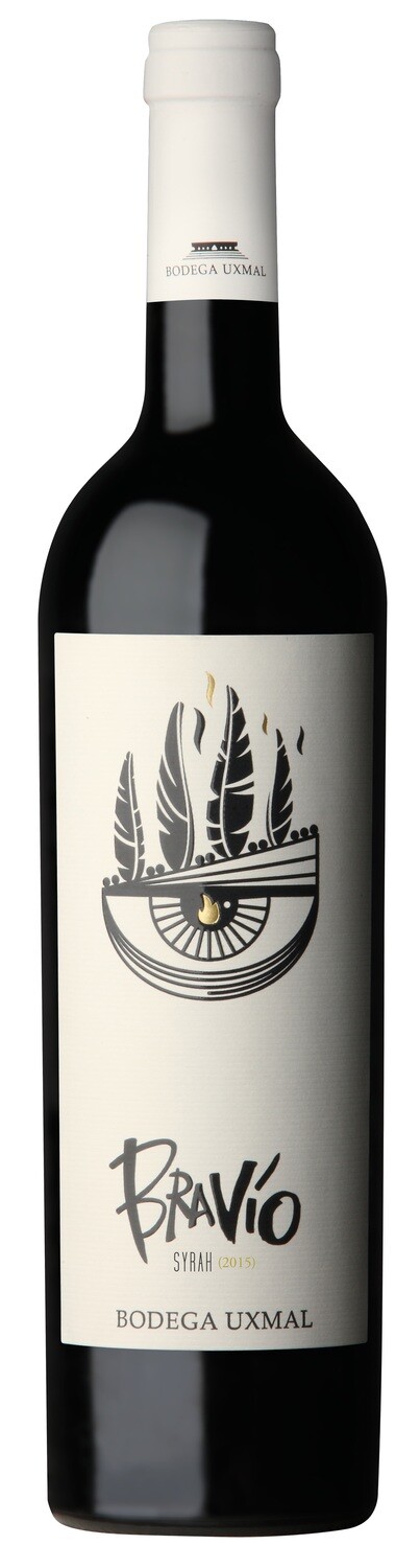 BRAVIO SYRAH x750