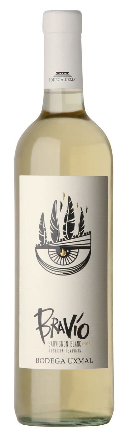 BRAVIO SAUVIGNON BLANC x750