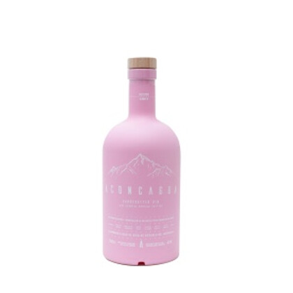 GIN ACONCAGUA ROSA x700
