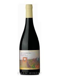 SAINT FELICIENT TRIBUTO A MAZA PINOT NOIR x 750cc