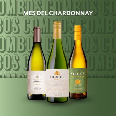 MES DEL CHARDONAY SALENTEIN