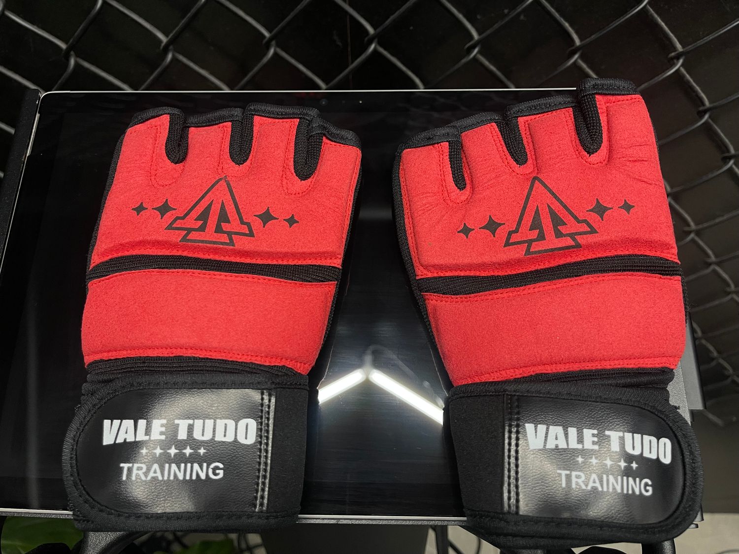 MMA TRAINING GLOVES
