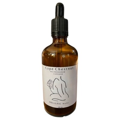 Cape Chestnut Oil 100ml