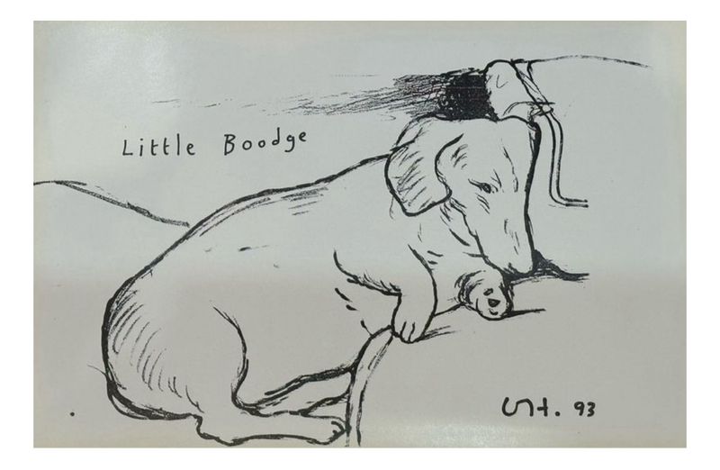David Hockney - Little Boodge