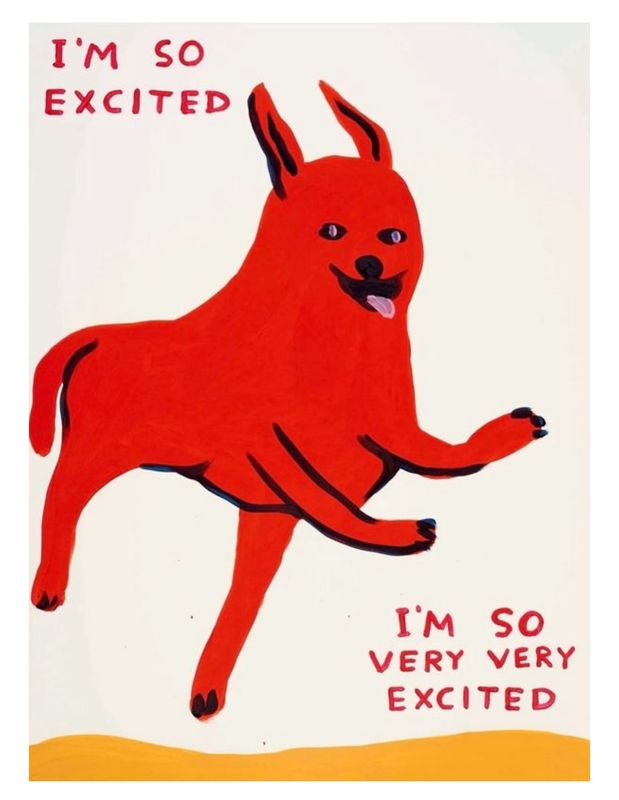 David Shrigley - I’m So Excited