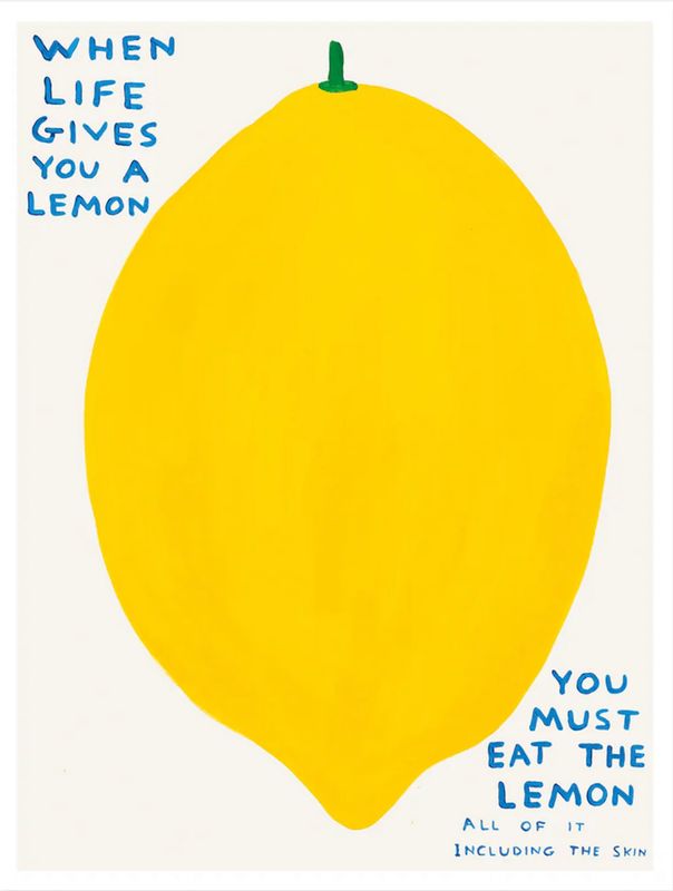 David Shrigley - When Life Gives You a Lemon