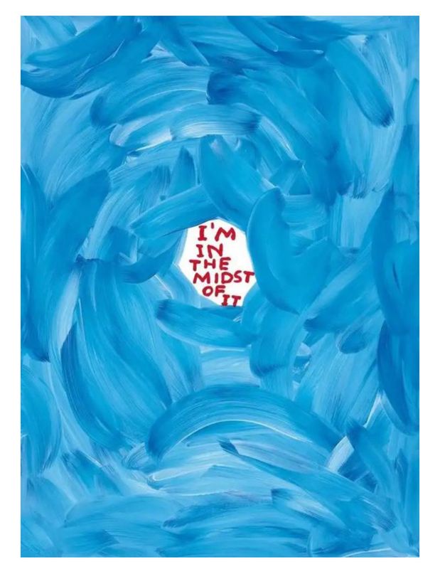 David Shrigley - I&#39;m In the Midst of It - (PART DAMAGED)