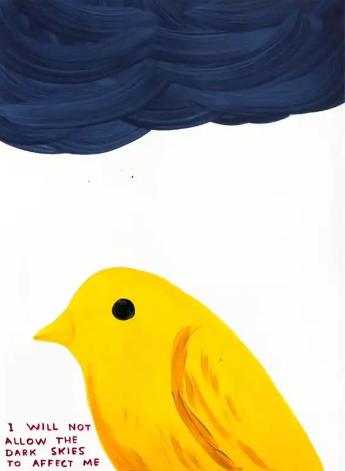 David Shrigley - I Will Not Allow The Dark Skies To Affect Me