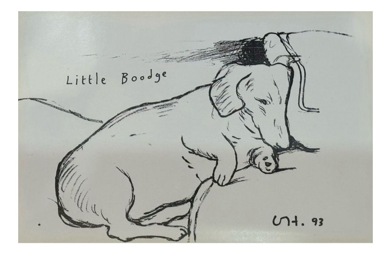 David Hockney - Little Boodge.