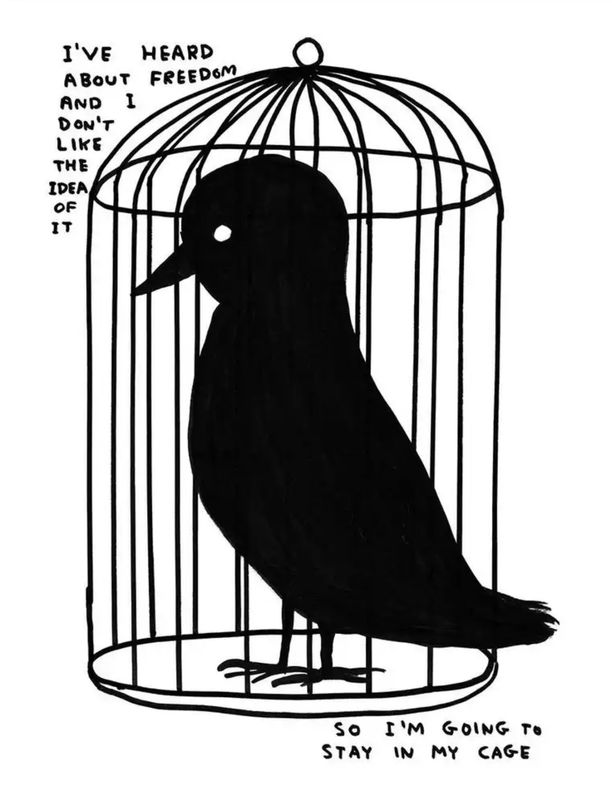 David Shrigley - I’ve Heard About Freedom