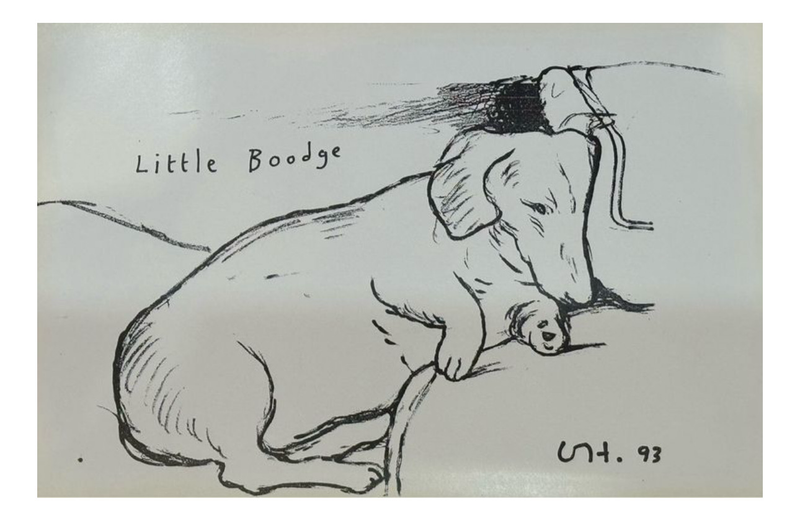 David Hockney - Little Boodge