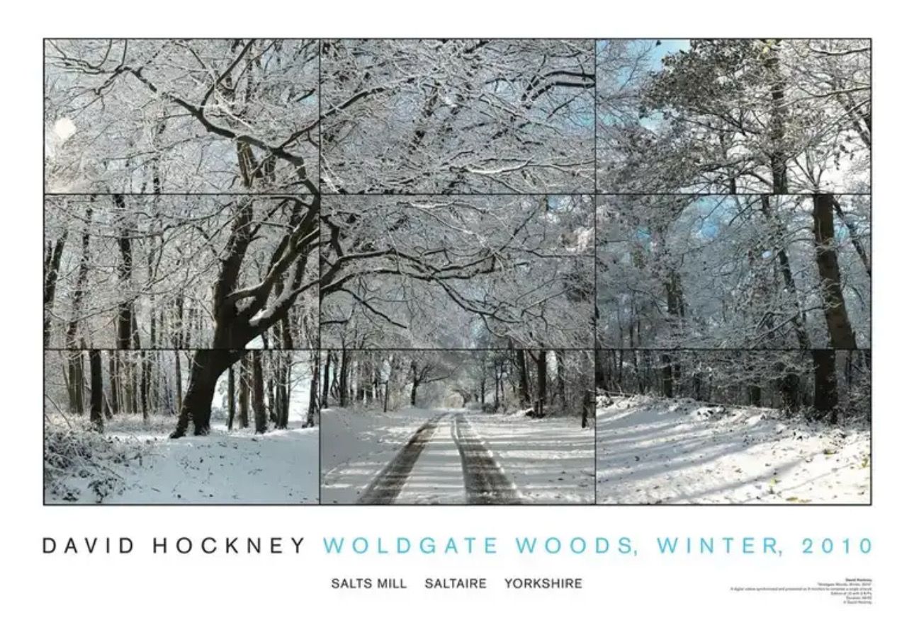 David Hockney - Woldgate Woods, Winter