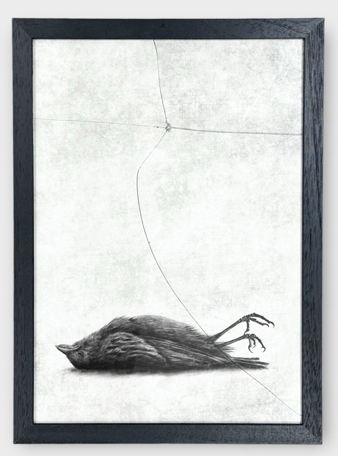 Andrew Scott - The Window