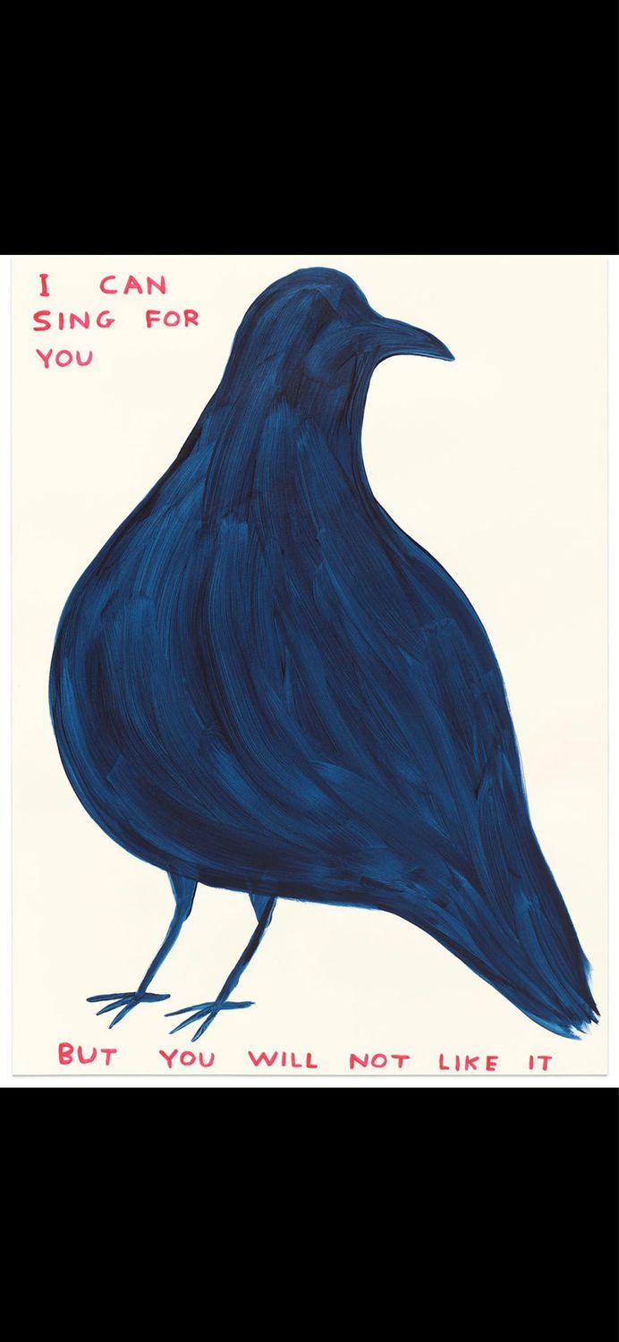 David Shrigley - I Can Sing For You
