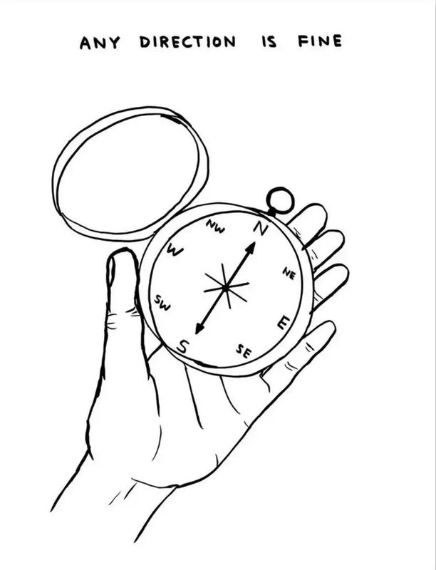 David Shrigley - Any Direction is Fine