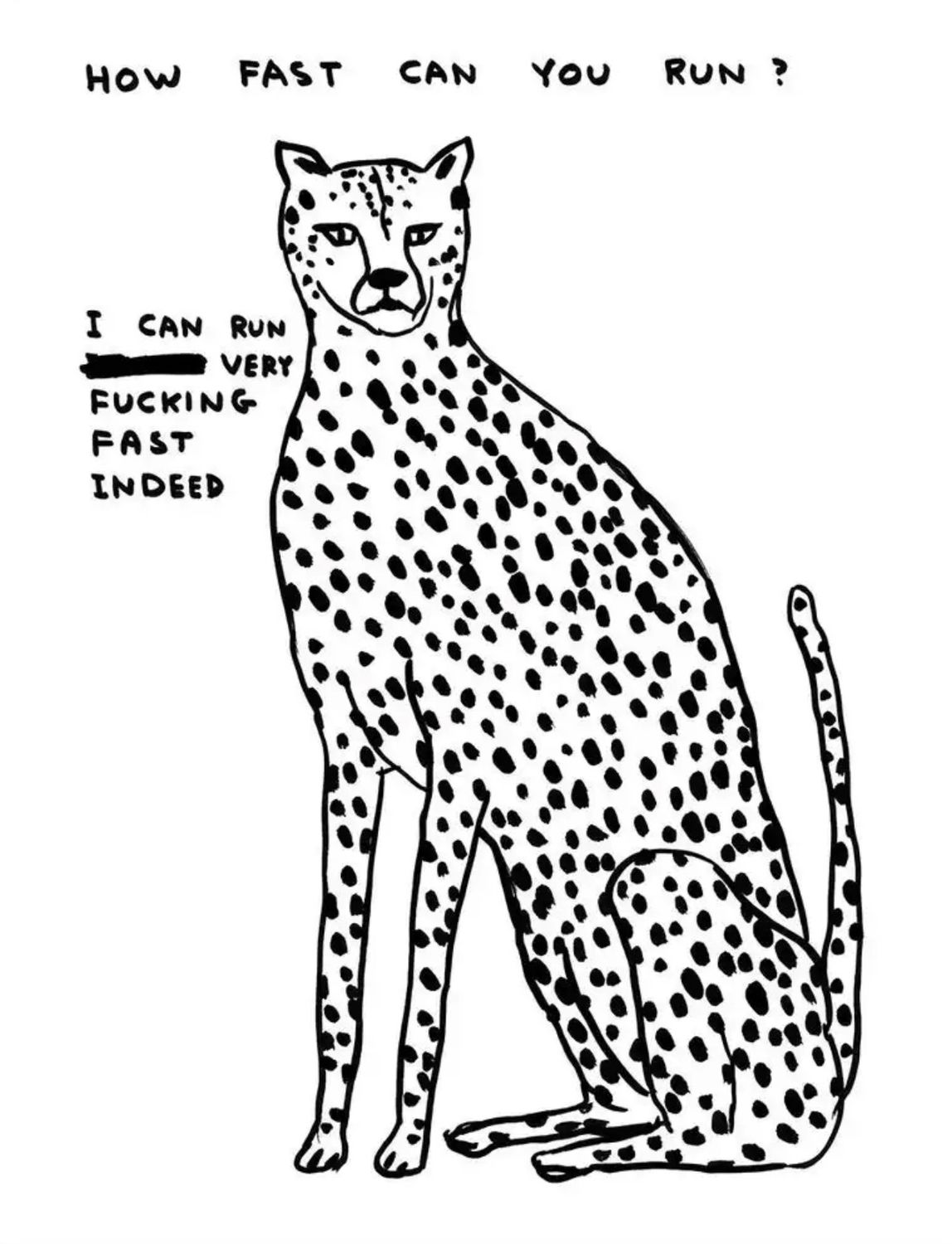 David Shrigley - How Fast Can You Run?