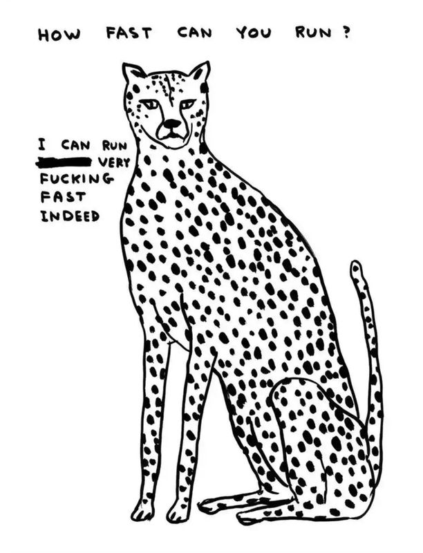 David Shrigley - How Fast Can You Run?