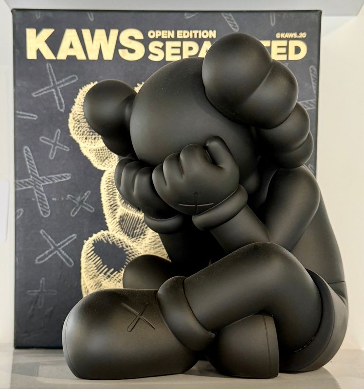 Kaws - Separated (Black)