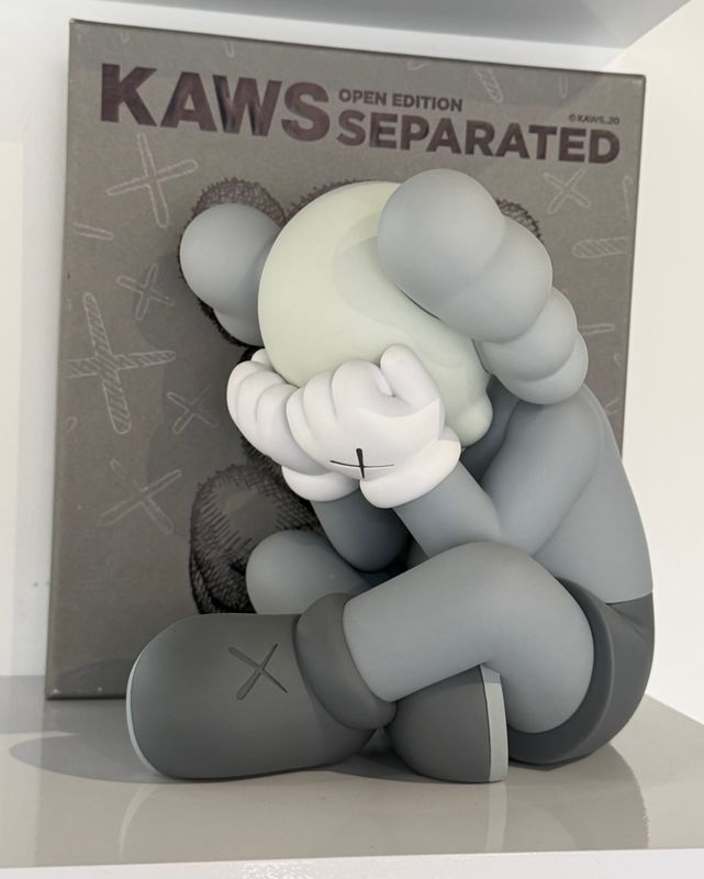 Kaws - Separated (Grey)