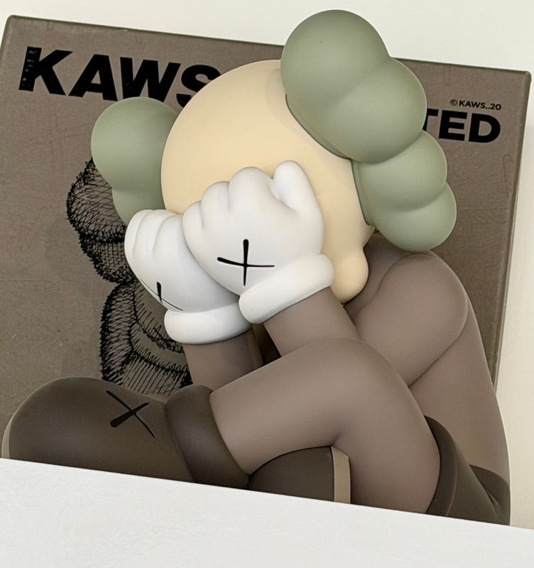 Kaws - Separated (Brown)