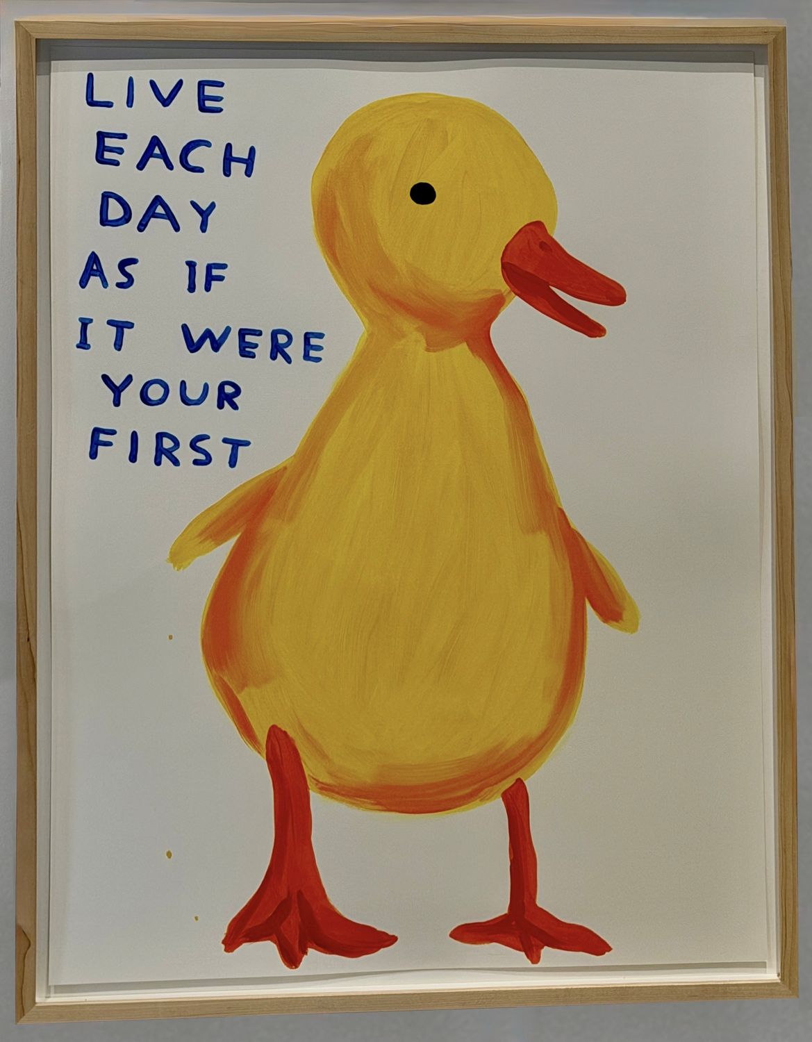 David Shrigley - Live Each Day As If It Were Your First