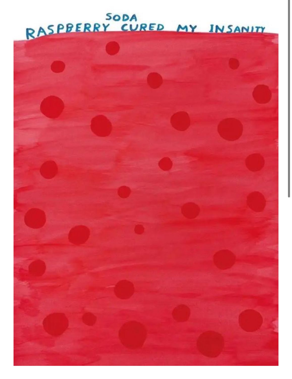 David Shrigley - Raspberry Soda Cured My Insanity