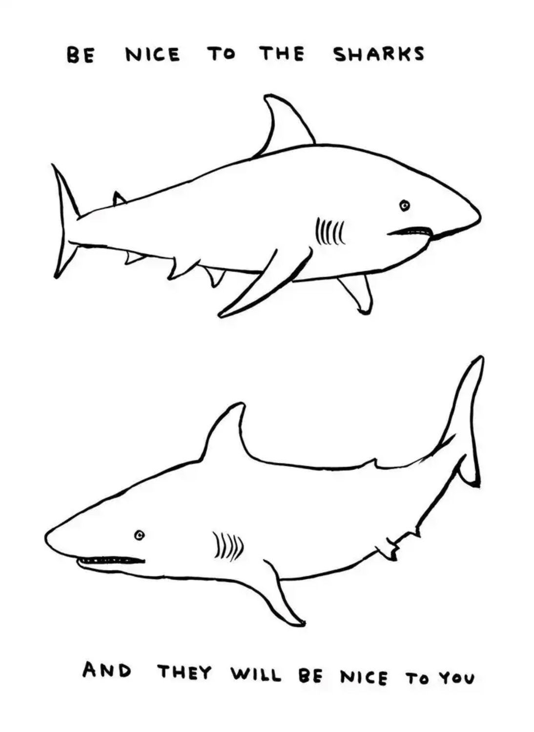 David Shrigley - Be Nice To The Sharks