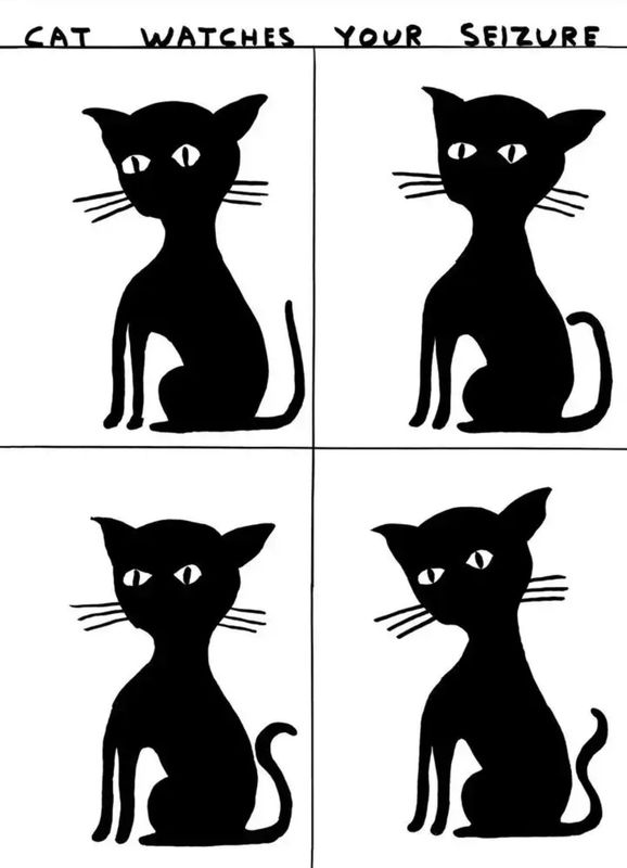 David Shrigley - Cat Watches Your Seizure