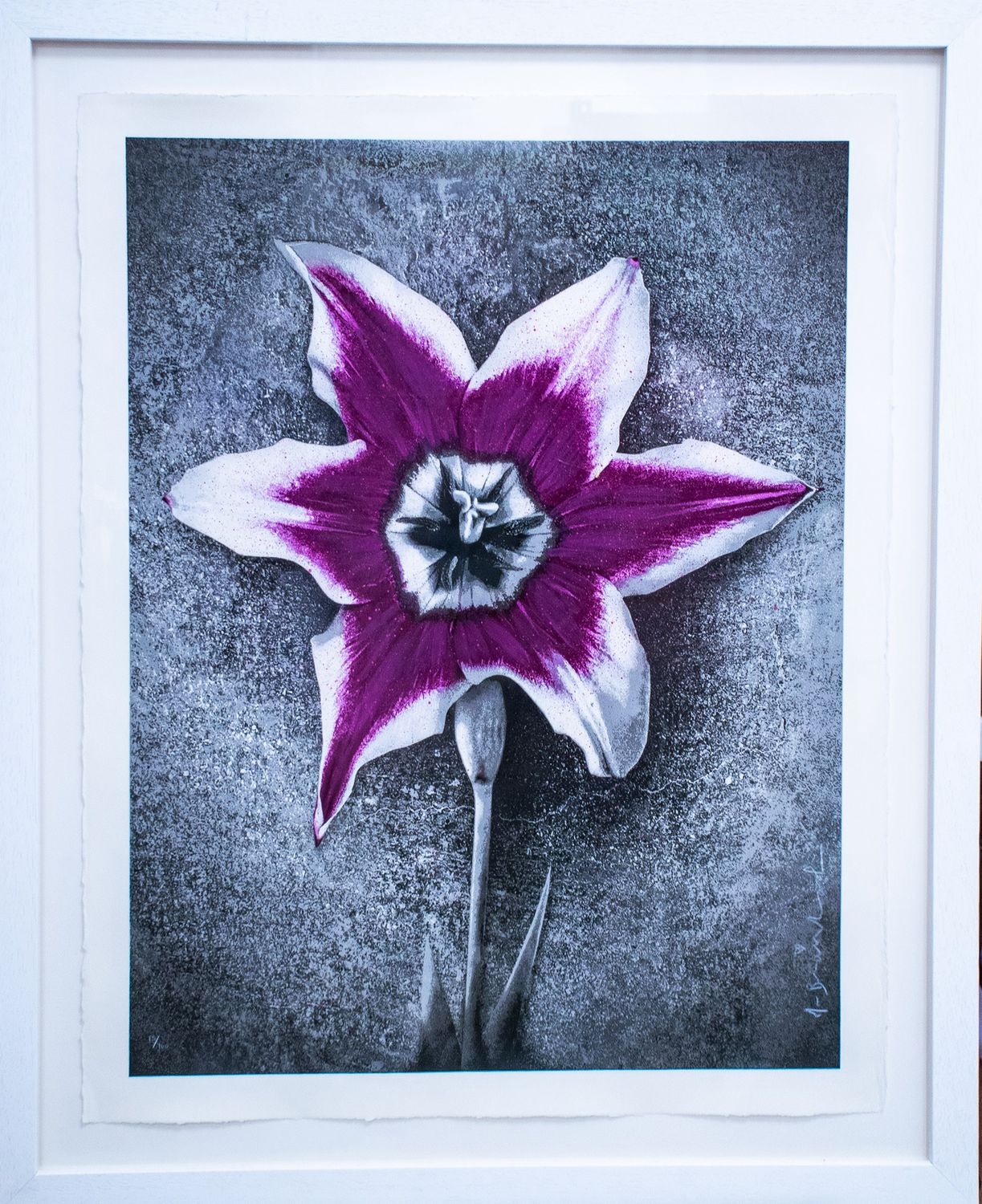 Mr Brainwash - Life (Nepal)