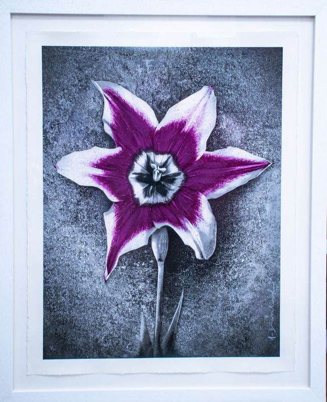 Mr Brainwash - Life (Nepal)