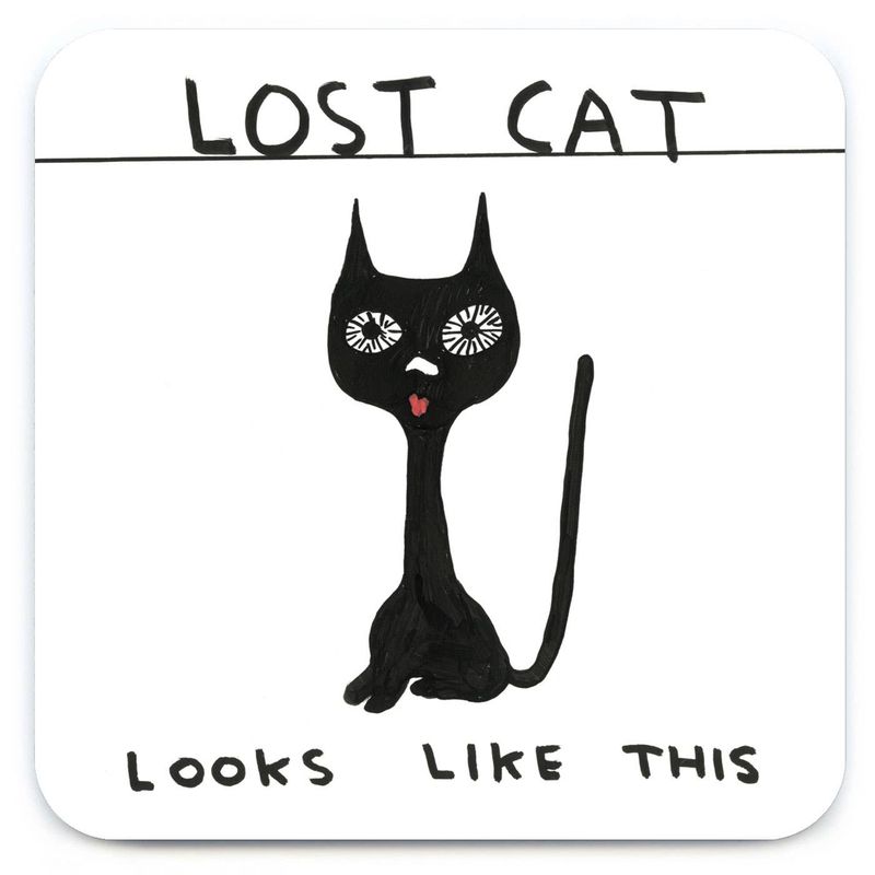David Shrigley Lost Cat (Coaster) coaster