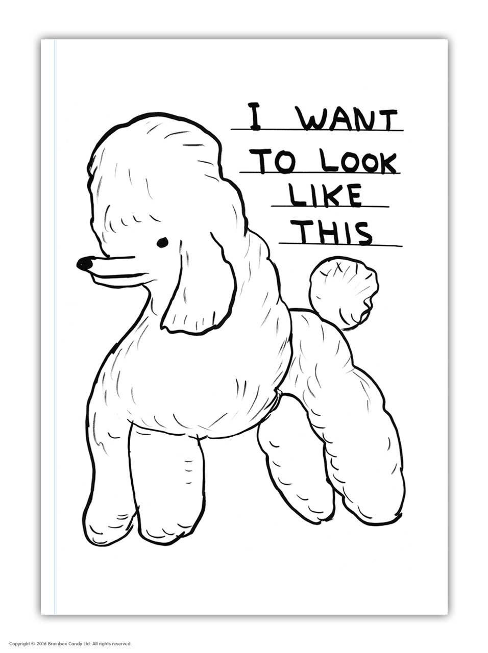 David Shrigley Look Like This (A6 Notebook) a6 notebook