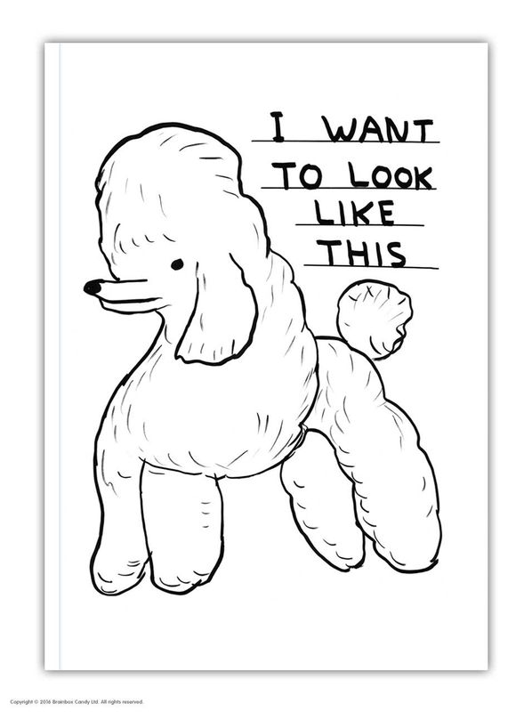 David Shrigley Look Like This (A6 Notebook) a6 notebook