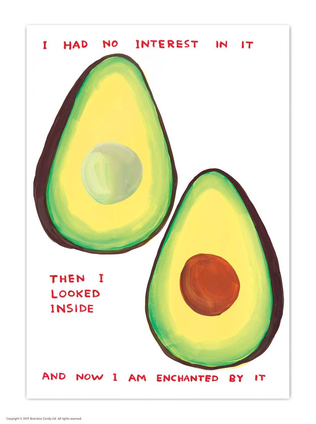 David Shrigley Enchanted Avocado (Postcard) postcard