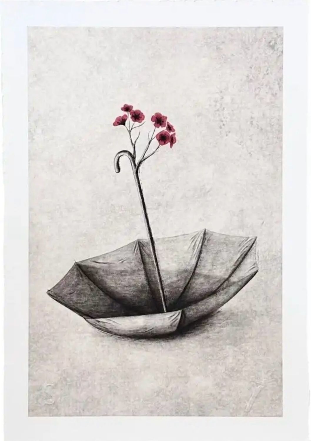Andrew Scott - Bloom