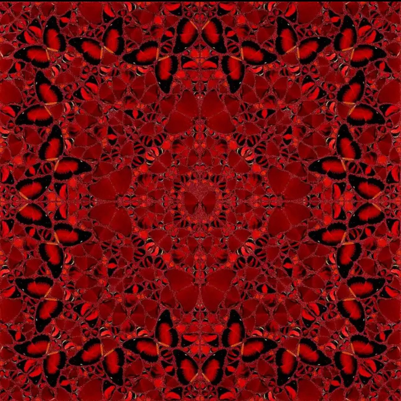 Damien Hirst - The Empresses - Nūr Jahān
