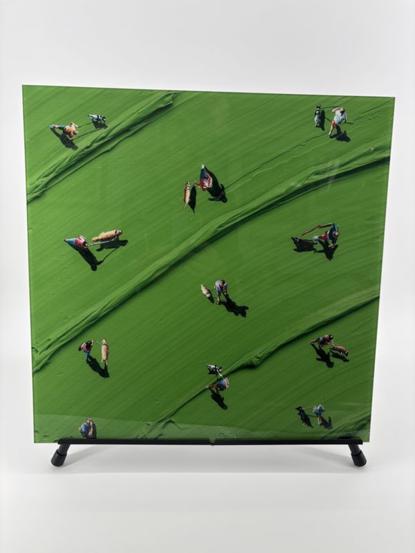 Werner Bronkhorst - Paw Hub - Authentic Panel Prints 450x450