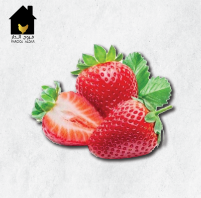 فراولة مصري